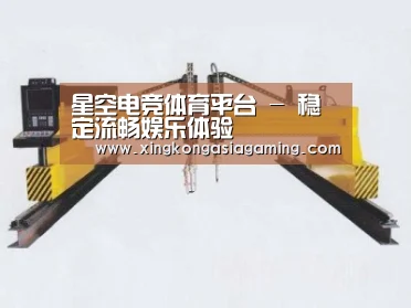 产品名称十七
